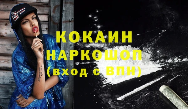 индика Алексин