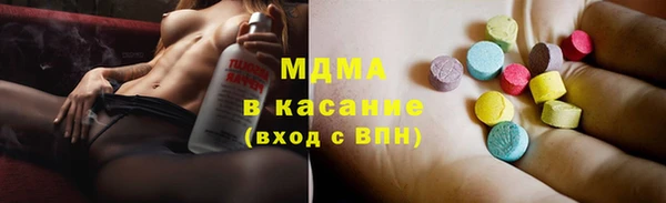 индика Алексин