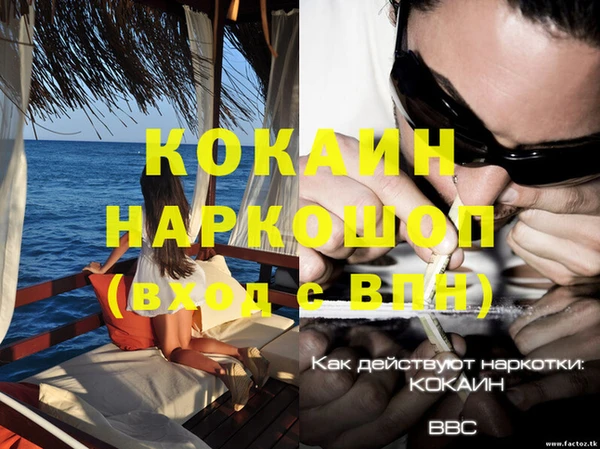 индика Алексин
