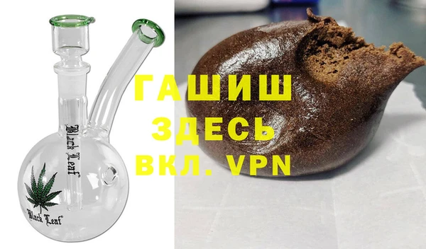 индика Алексин