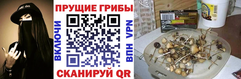 Галлюциногенные грибы Cubensis  мориарти телеграм  Знаменск  где найти  